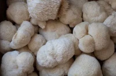 Soft, fluffy white sheep huddled closely together.