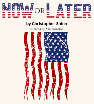 A distorted American flag beneath the title 'Now or Later' by Christopher Shinn.