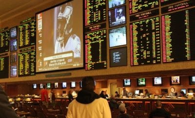 Person watching multiple sports screens and betting odds in a sportsbook.
