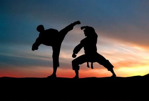 Two people practicing martial arts at sunset.