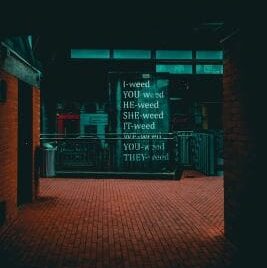 A dimly lit urban alley with neon signs in an Asian script.
