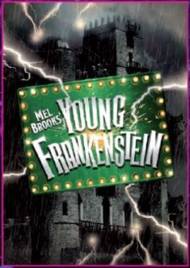 Classic movie poster for 'Young Frankenstein' with a vintage horror theme.