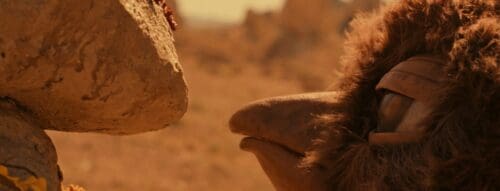 Close-up of a camel's face in a desert setting.