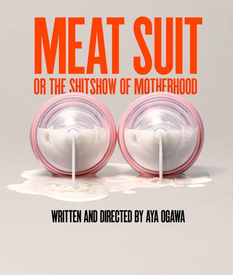Meat Suit Key Art