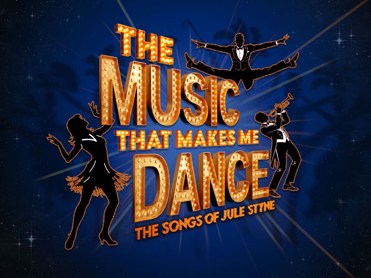 Photo 15 - Music Dance El Portal V2