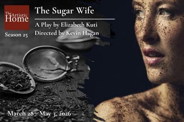 the sugar wife artistic home at theater wit poster