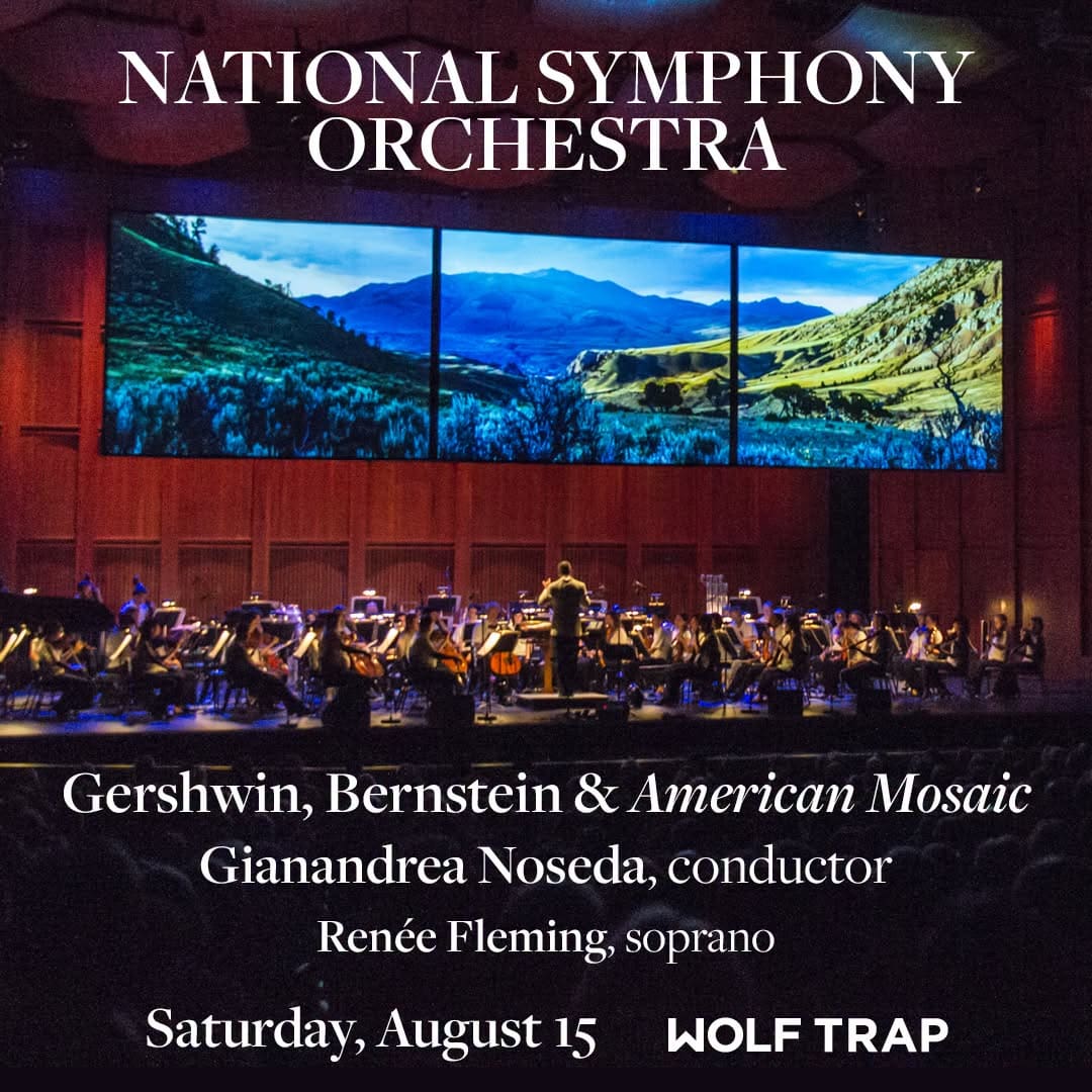 nso fleming american mosaic poster